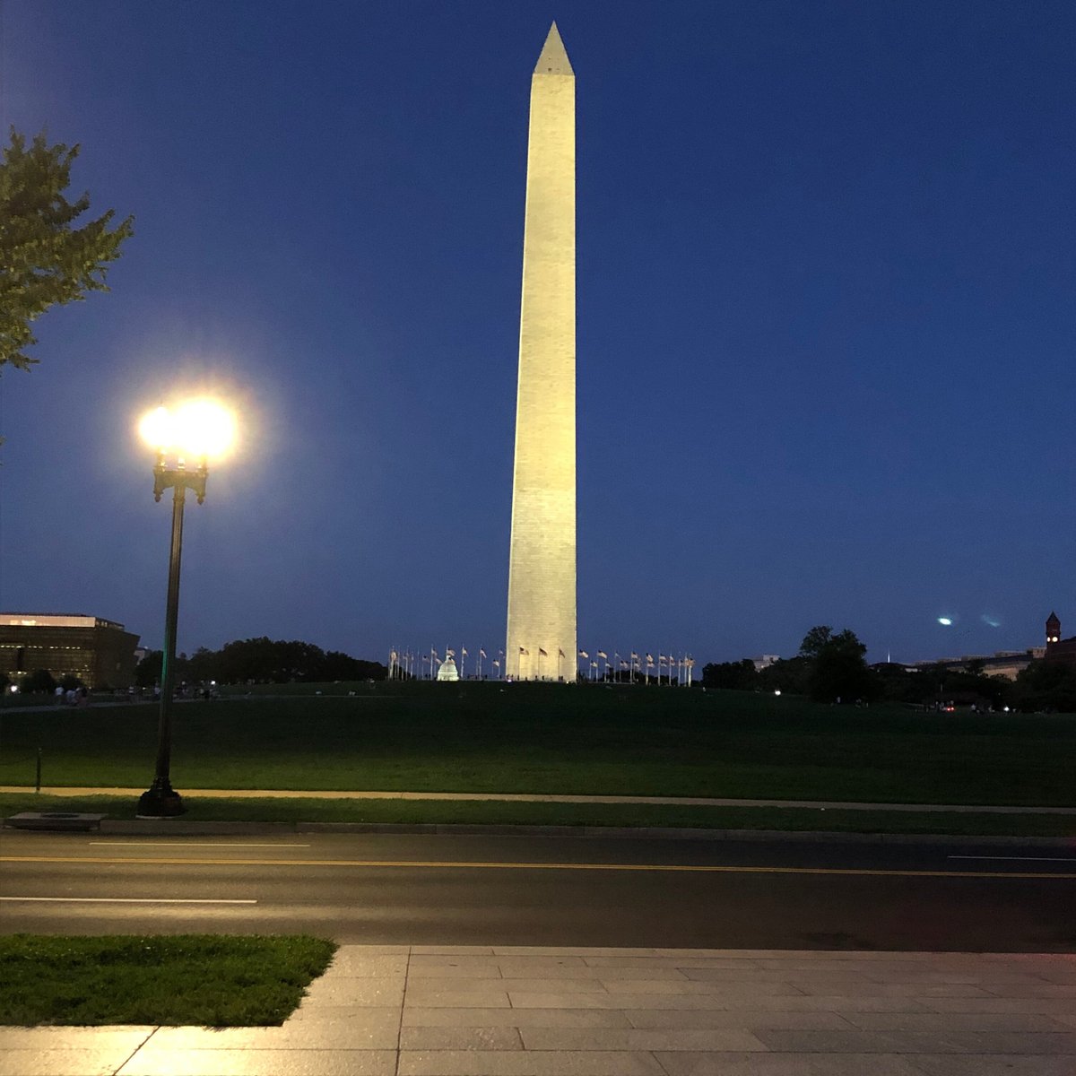 free tours by foot - washington dc reviews