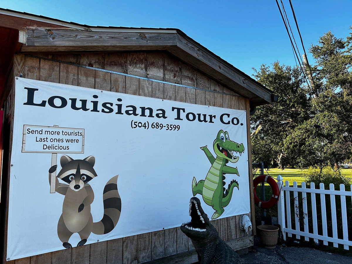 airboat swamp tours new orleans tripadvisor