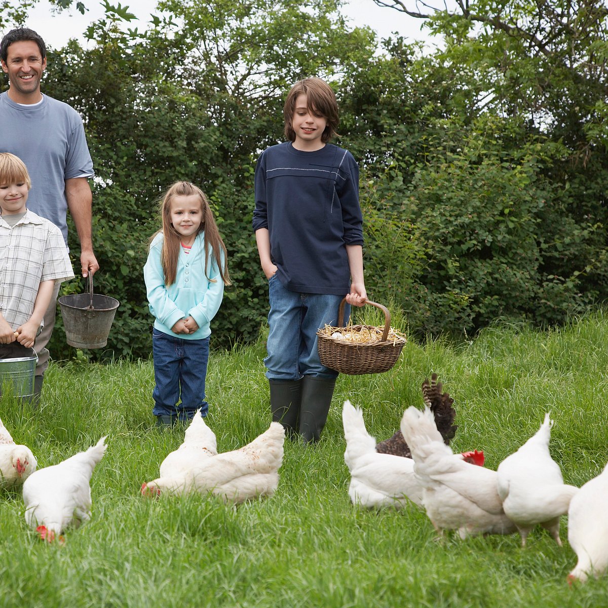 Barakah Heritage Farm Glen Rock PA Hours Address Tripadvisor barakah-heritage-farm-glen-rock-pa-hours-address-tripadvisor