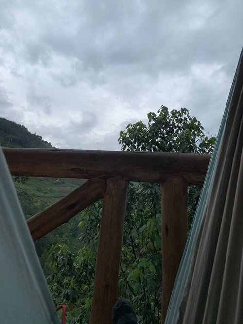 BWEZA GORILLA LODGE - Updated 2023 Reviews (Bugambira, Uganda)