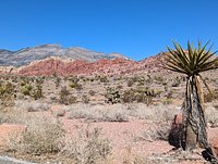 Las Vegas Tours, Red Rock Canyon Tours provided by - Scoot City Tours