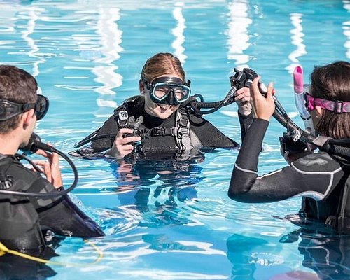 THE 10 BEST Sharm El Sheikh Scuba & Snorkeling Activities (2024)