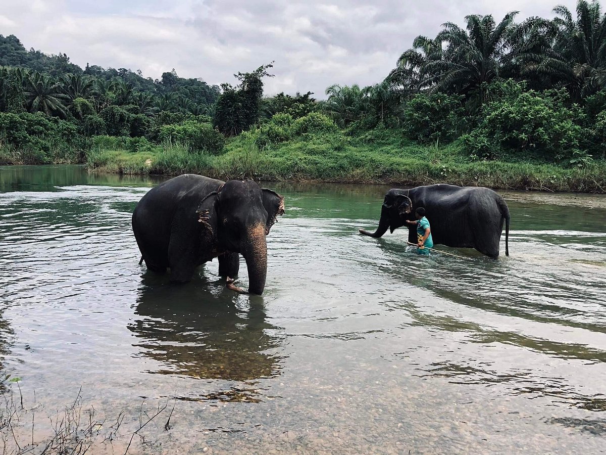 mona tours khao lak