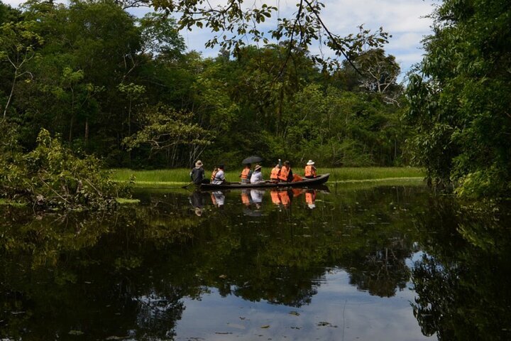 2023 4-Day Private Amazon Jungle Tour With Pick Up