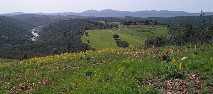 En las proximidades de Valverde del Fresno se ubica el castillo de Salvaleón, una fortaleza de origen árabe que data del siglo XIV al que se recomienda visitar por ser uno de los tesoros mejores guardados.