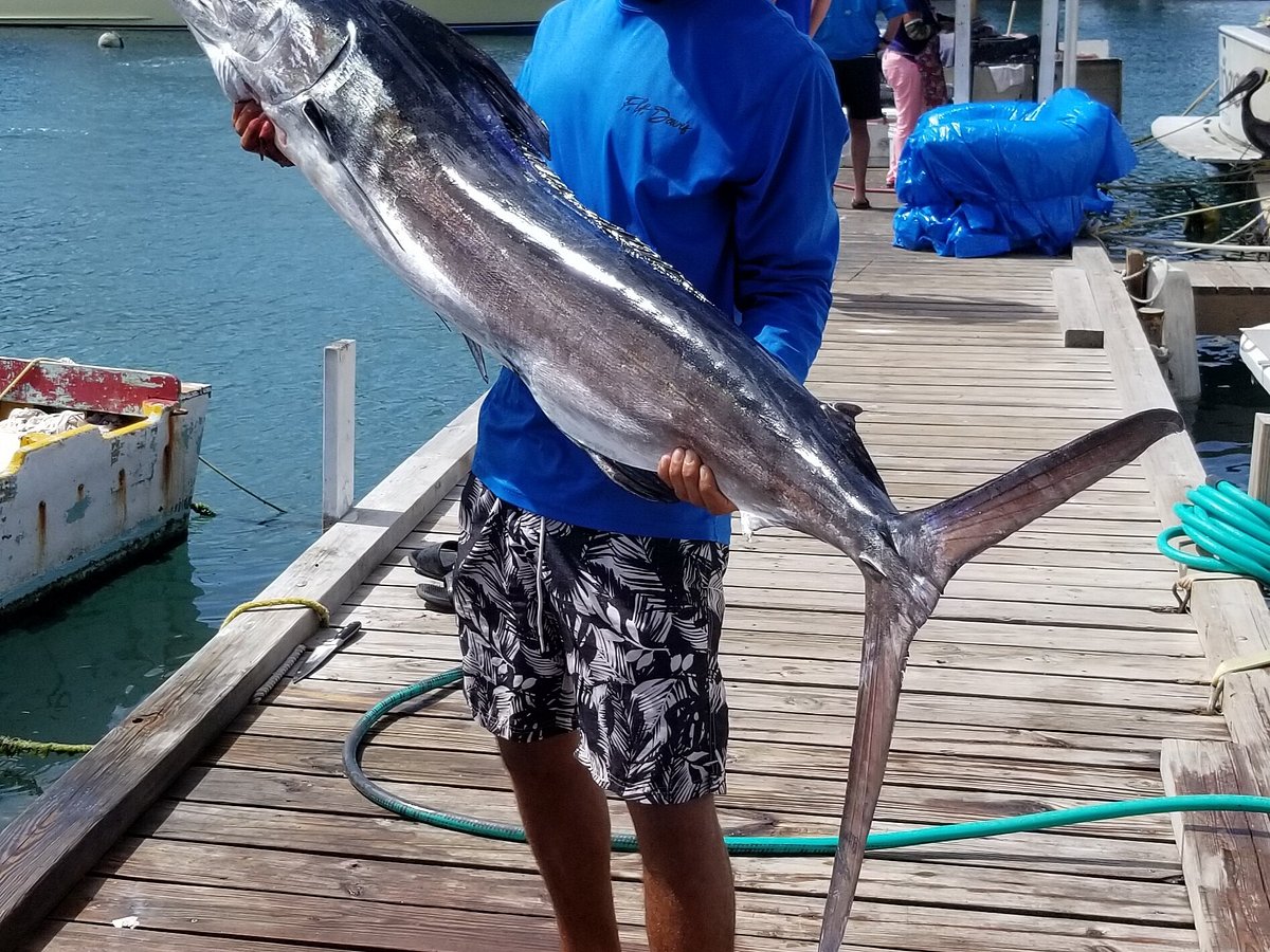 Deep sea fishing - Review of Bottom Fishing Aruba, Oranjestad, Aruba -  Tripadvisor