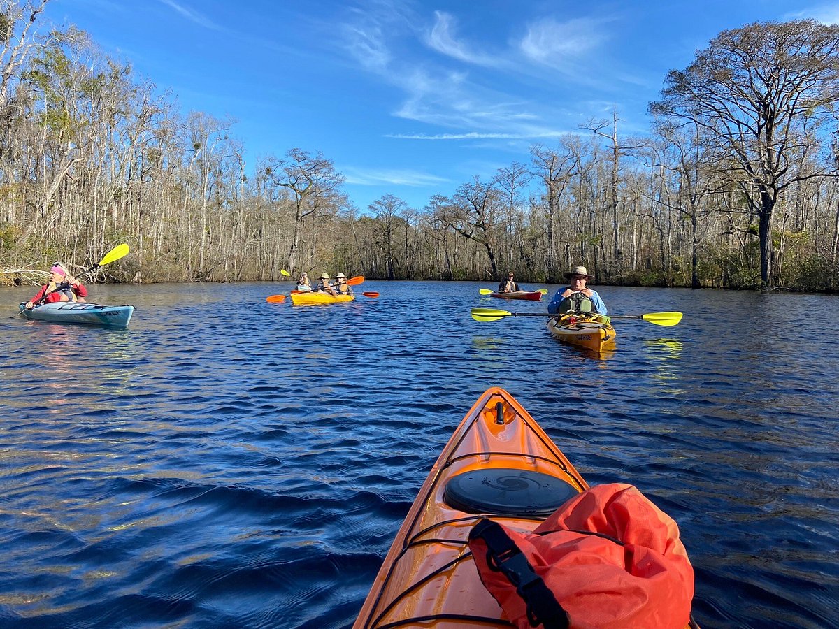 guided kayak tours southport nc