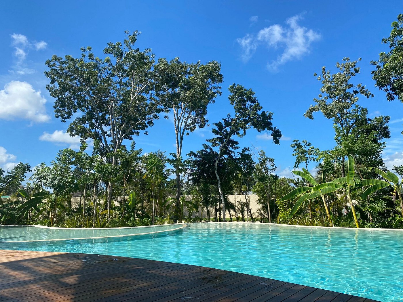 OPHELIA TULUM HOTEL Hotel Reviews Photos Rate Comparison Tripadvisor ophelia-tulum-hotel-hotel-reviews-photos-rate-comparison-tripadvisor