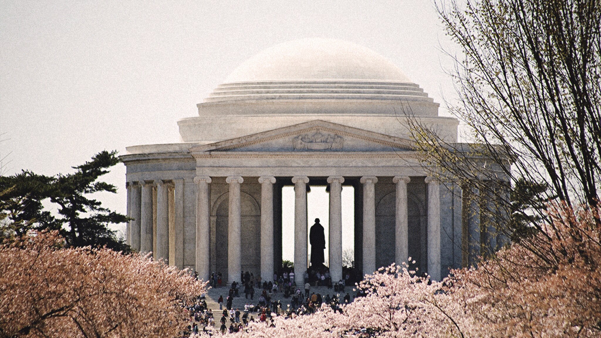 THE 15 BEST Things to Do in Washington DC 2024 with Photos