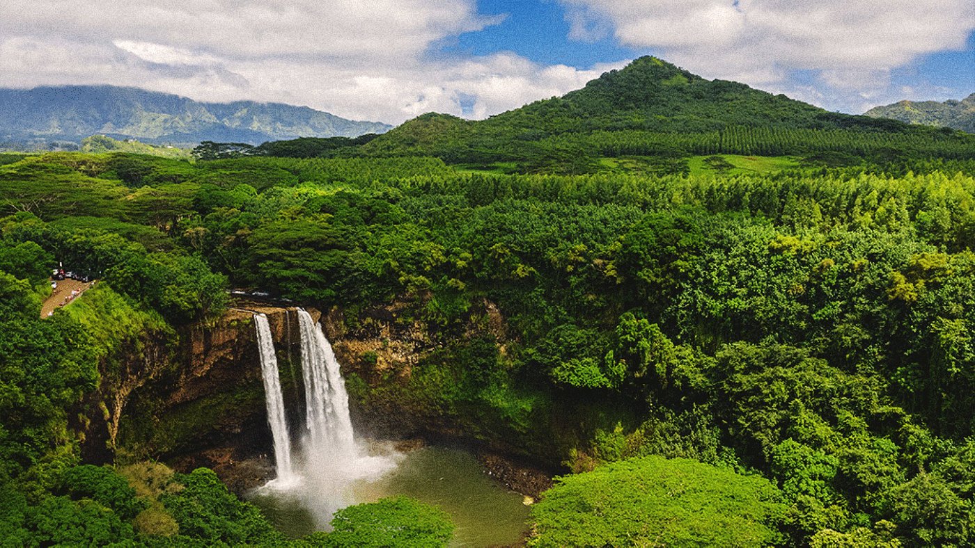 THE 15 BEST Things to Do in Kauai 2024 (with Photos) Tripadvisor