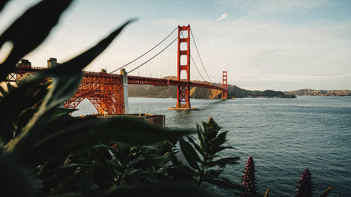 THE 15 BEST Things to Do in San Francisco - 2024 (with Photos) - Tripadvisor