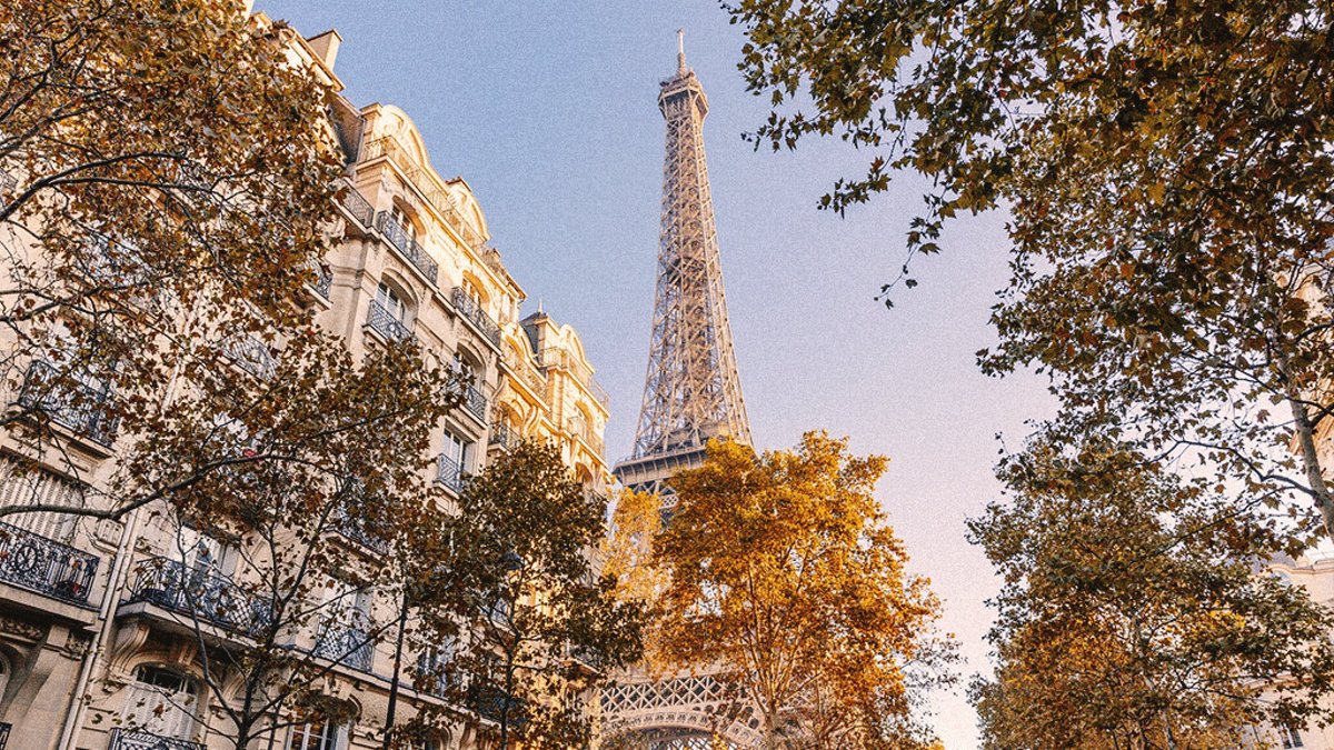 AQUÁRIO PERTO DA TORRE EIFFEL: DUAS VISITAS DE UMA SÓ VEZ? 