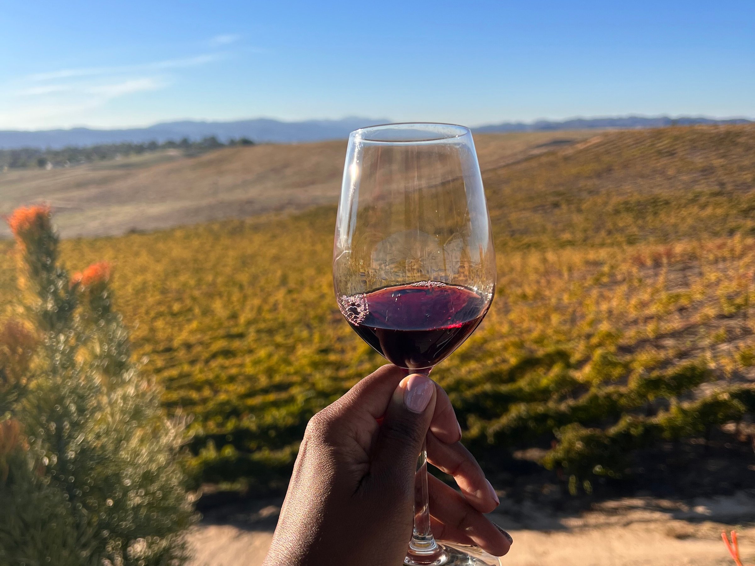 Temecula Cable Car Wine Tours All You Need to Know BEFORE You Go