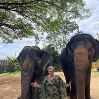 Elephant Jungle Sanctuary Phuket (Patong) - All You Need to Know BEFORE ...