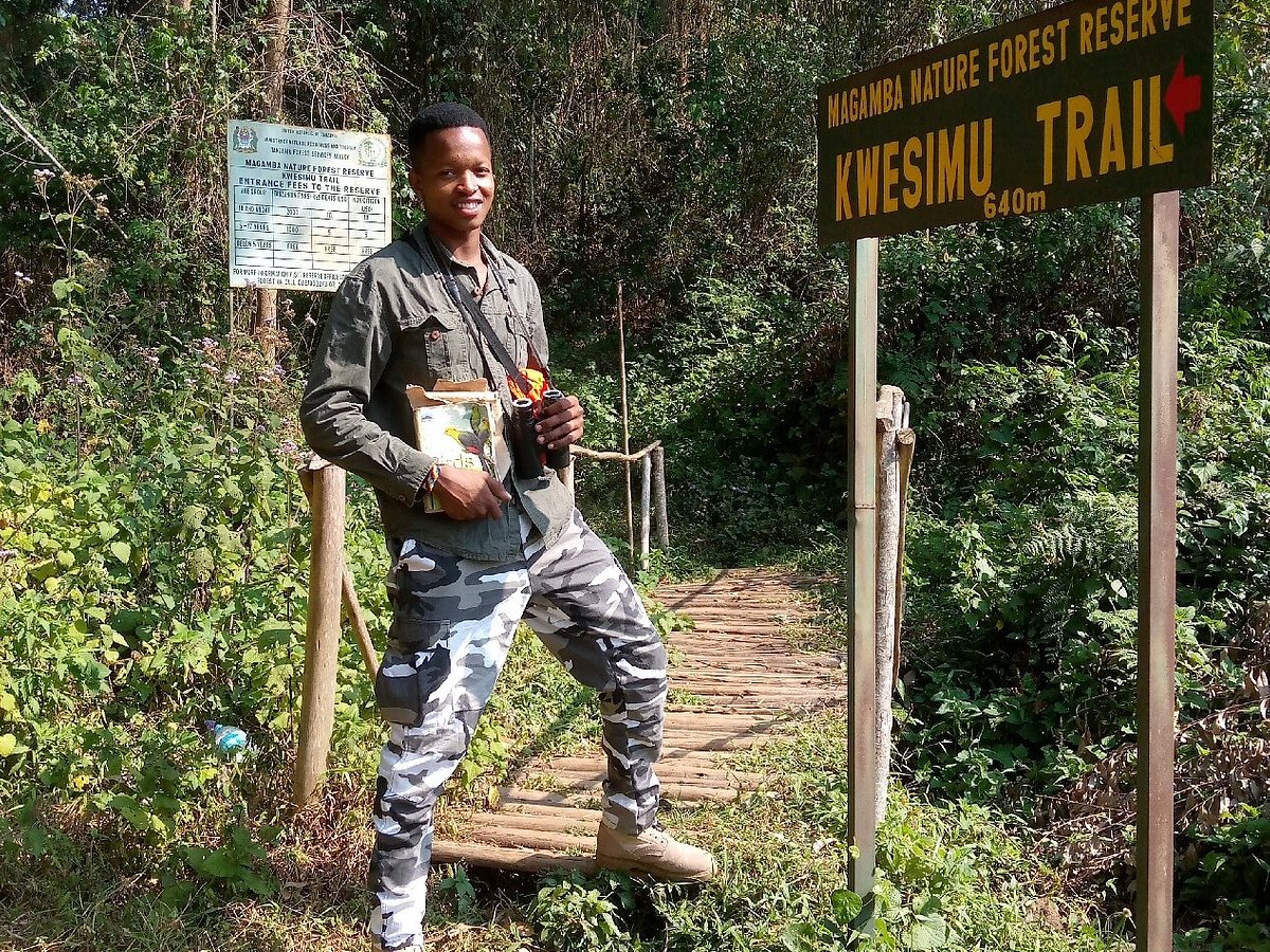 magamba eco cultural tourism lushoto usambara