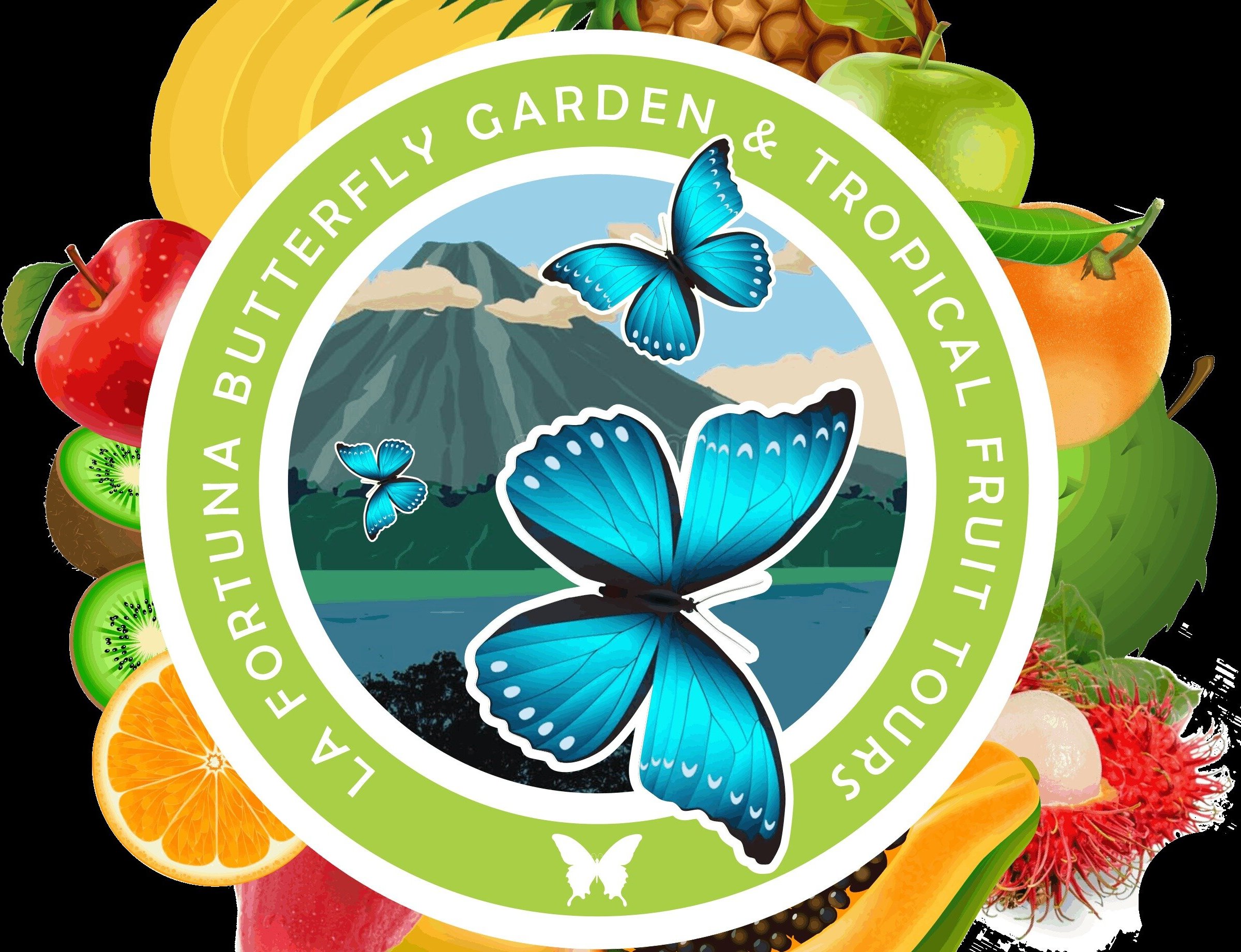 La Fortuna Butterfly Graden And Tropical Fruit Tours La Fortuna De San