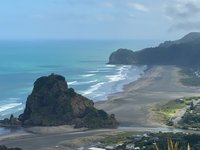 2023 Piha Waitakere Rainforest Wine Tour from Auckland