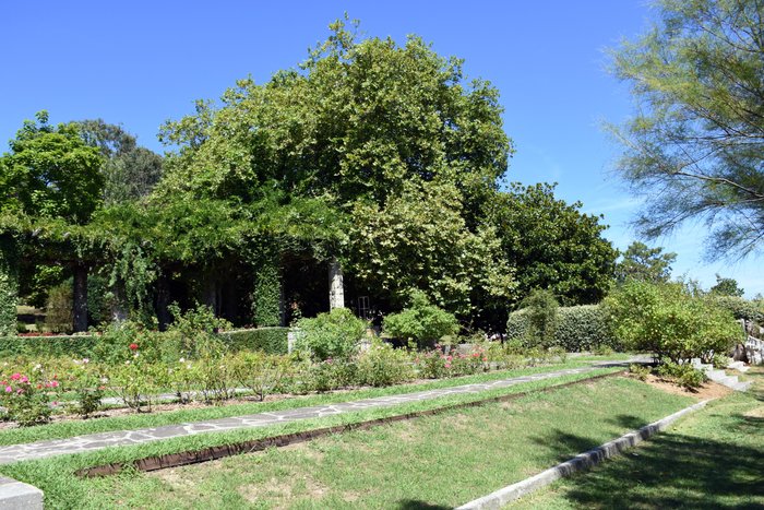 Imagen 8 de Parque de Mataleñas