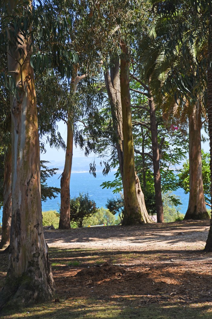 Imagen 7 de Parque de Mataleñas