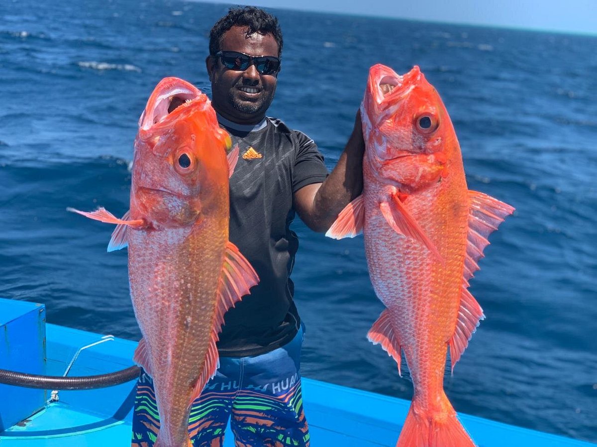 Game Fisher Maldives (Dharavandhoo) - All You Need to Know BEFORE You Go