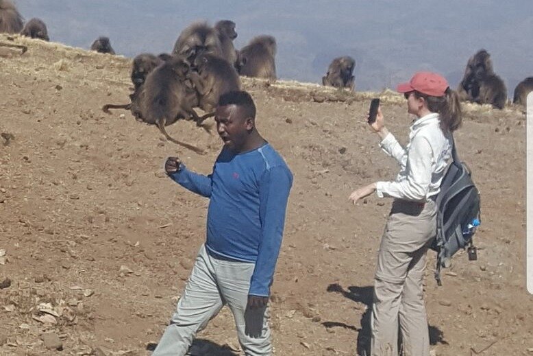 Simien Mountain Guided Tours image