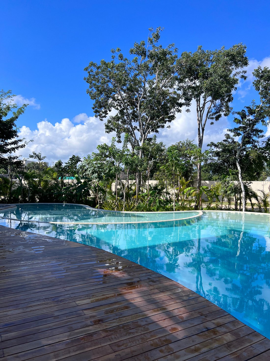 OPHELIA TULUM HOTEL Reviews Price Comparison Mexico Tripadvisor ophelia-tulum-hotel-reviews-price-comparison-mexico-tripadvisor