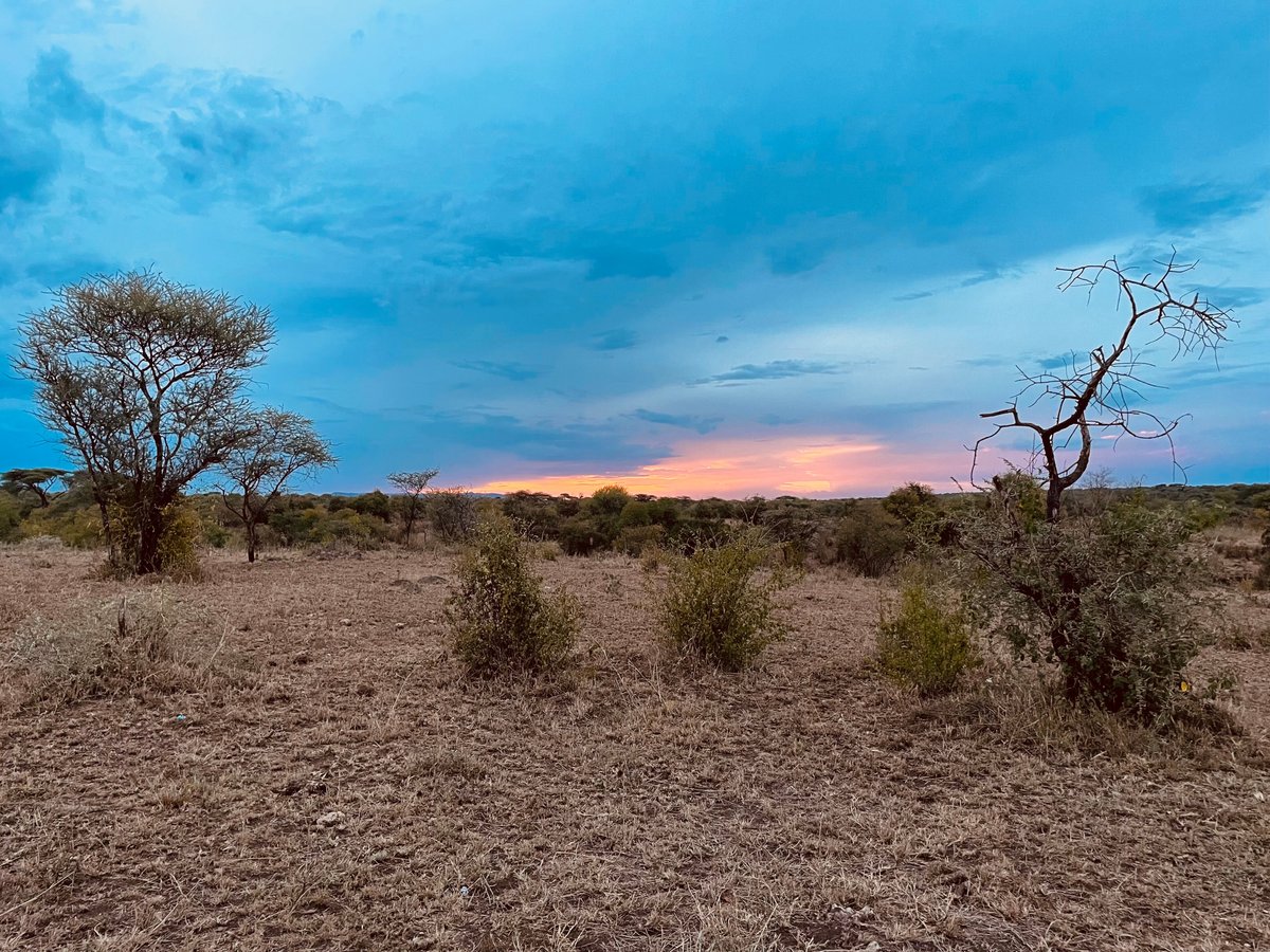 THE WHISPER SERENGETI TENTED CAMP (Serengeti National Park) - Specialty ...