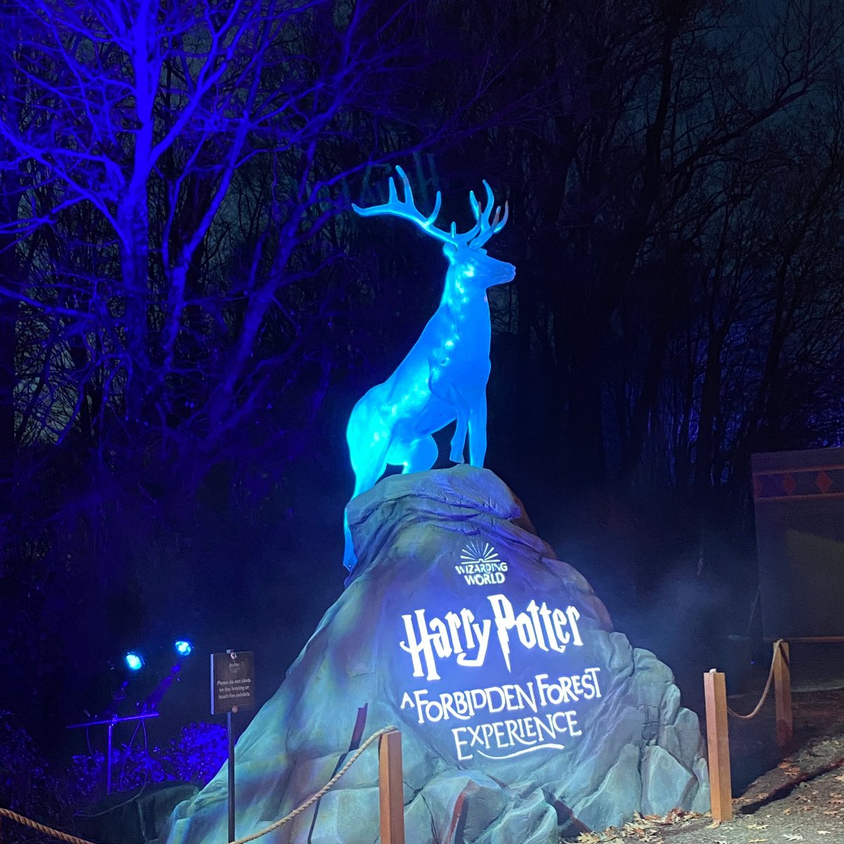 List 27+ Photos harry potter a forbidden forest experience new york Stunning