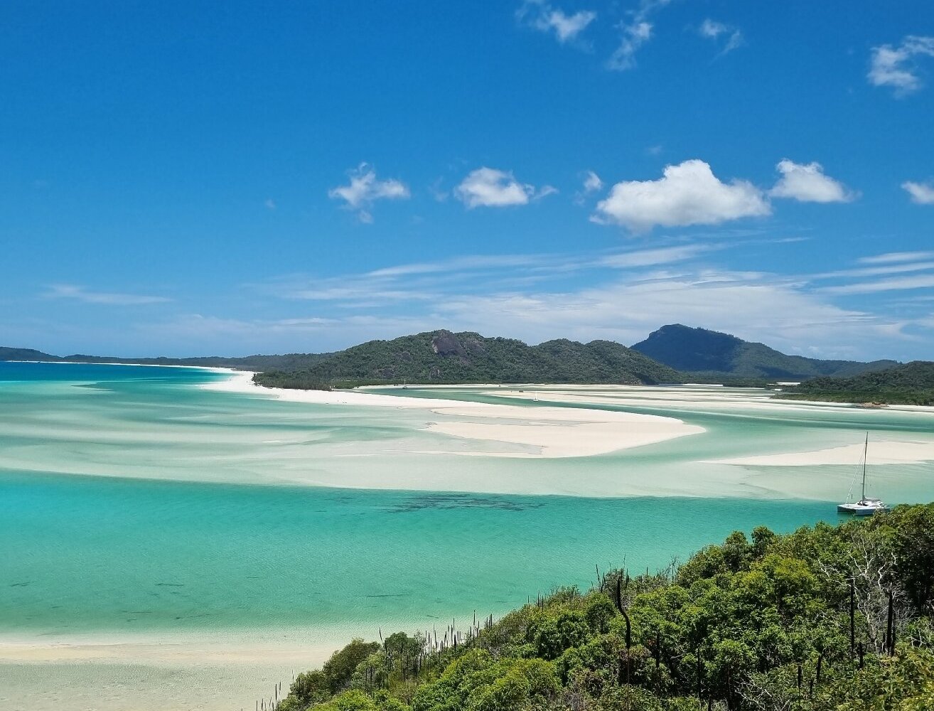 Hamilton Island Reef Ryder Tour - All You Need to Know BEFORE You Go (2024)