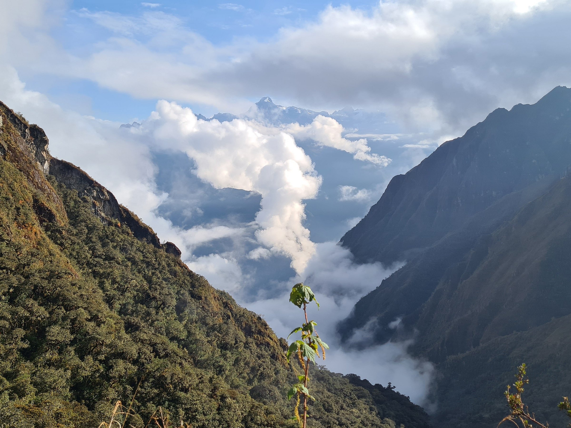 wayki trek