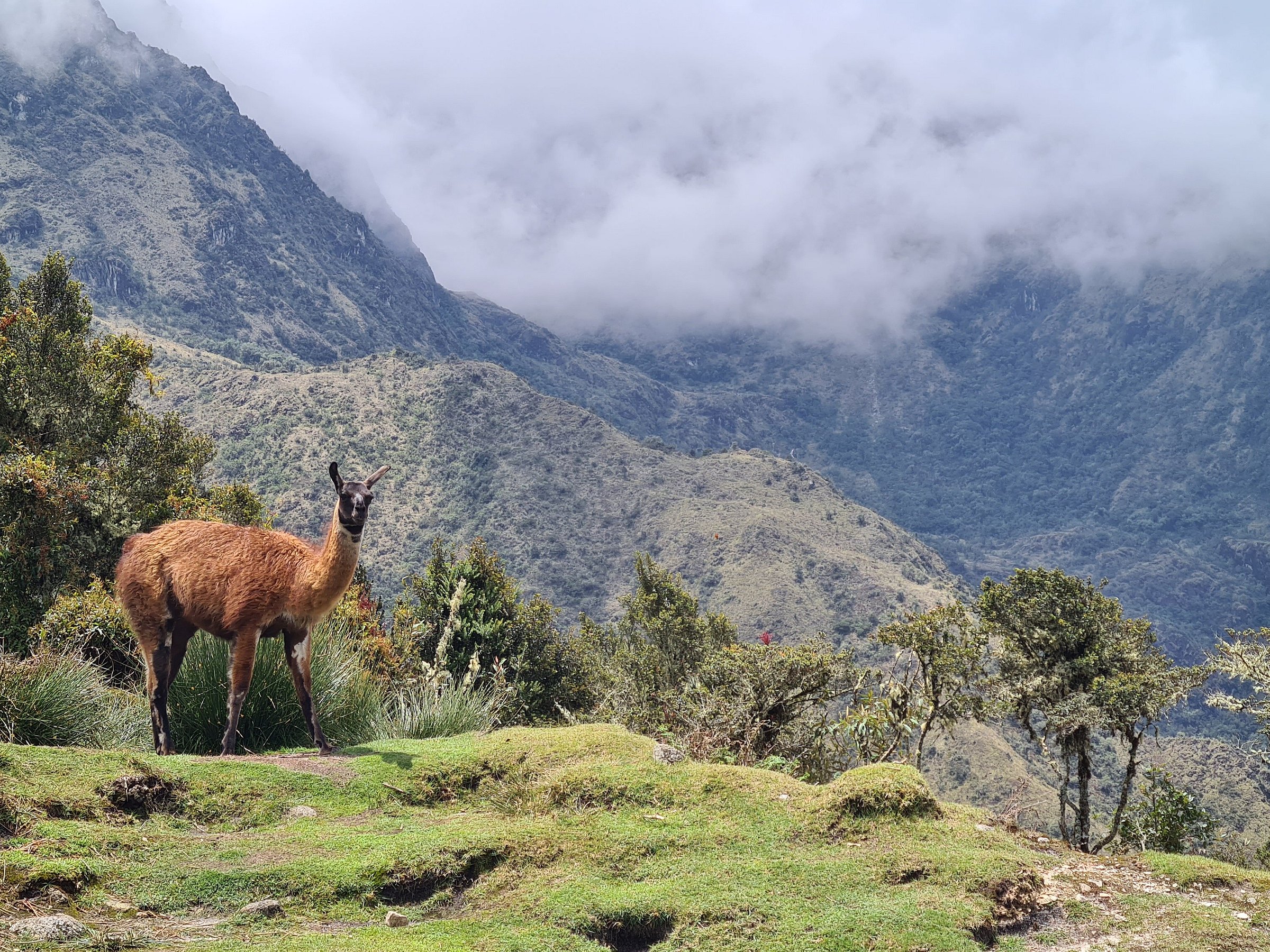 wayki trek