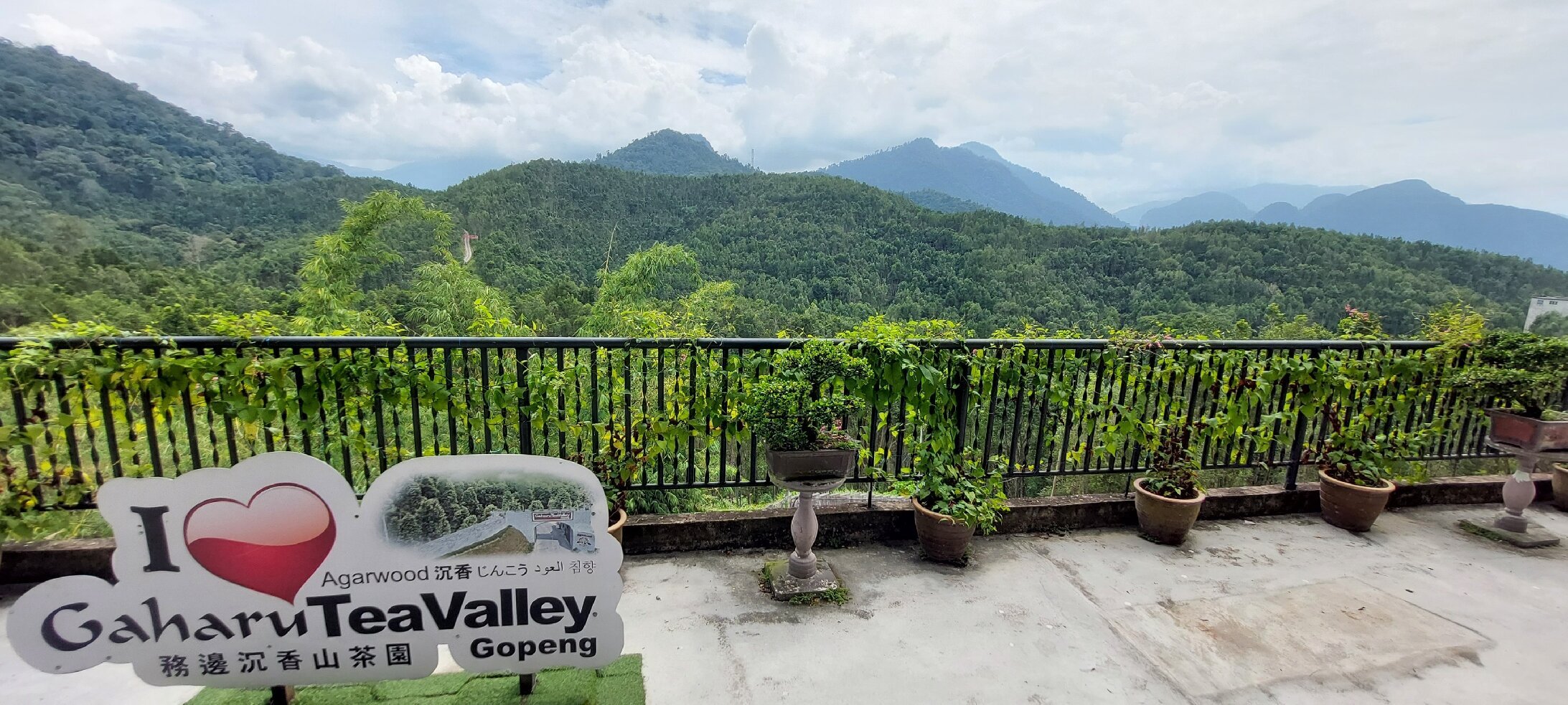 Gaharu Tea Valley (Gopeng) - All You Need to Know BEFORE You Go