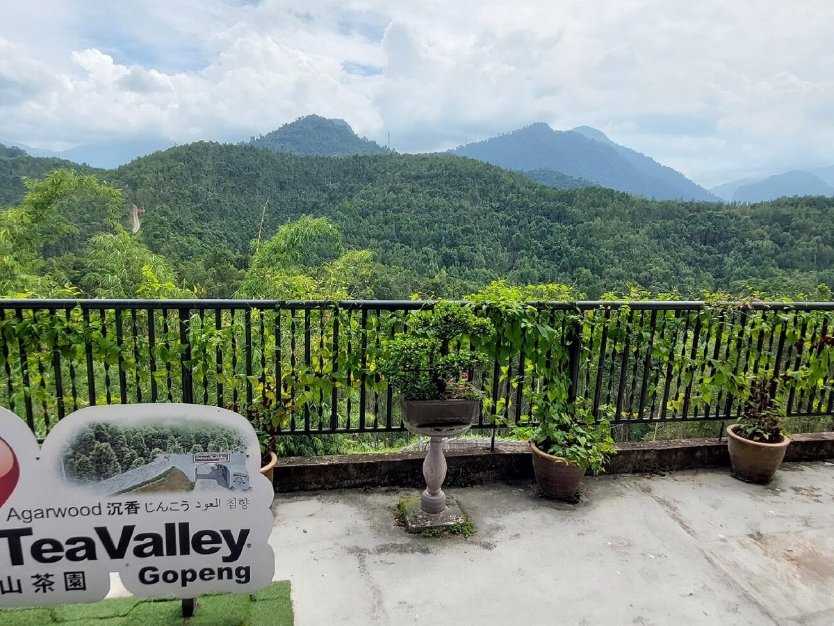 Gaharu Tea Valley (Gopeng) - All You Need to Know BEFORE You Go