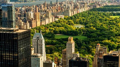 Aerial view of Central Park in New York City