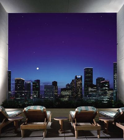 Hotel photo 20 of Hilton Americas-Houston.