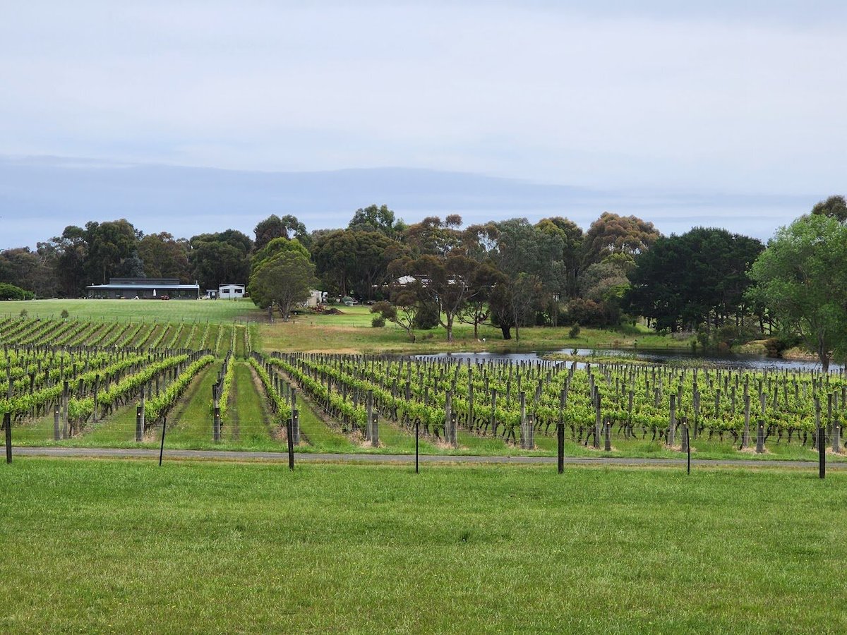 For the Love of Grape Day Tours (Portarlington) - All You Need to Know ...