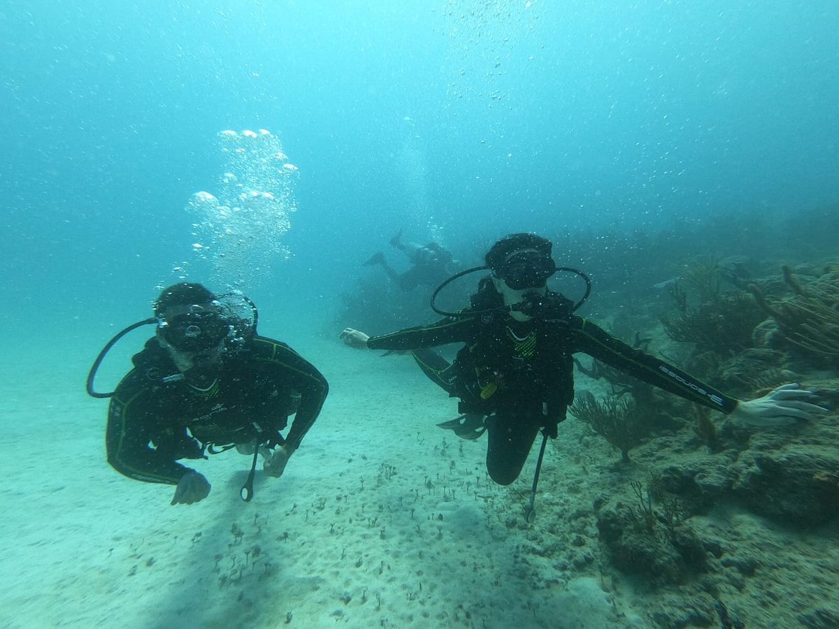 triton diving playa del carmen