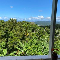 Ahhh...Ras Natango Gallery and Garden (Montego Bay) - All You Need to ...