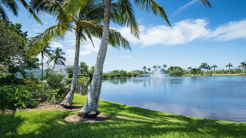 Residential neighborhood in Naples, Florida 