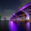Miami Mama