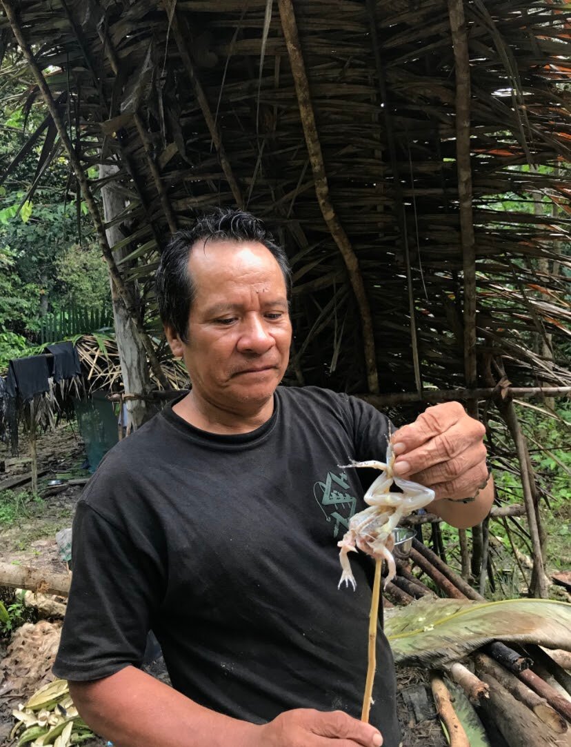 AMAZON EXPEDITIONERS (Iquitos) - 2022 Qué Saber Antes De Ir - Lo Más ...