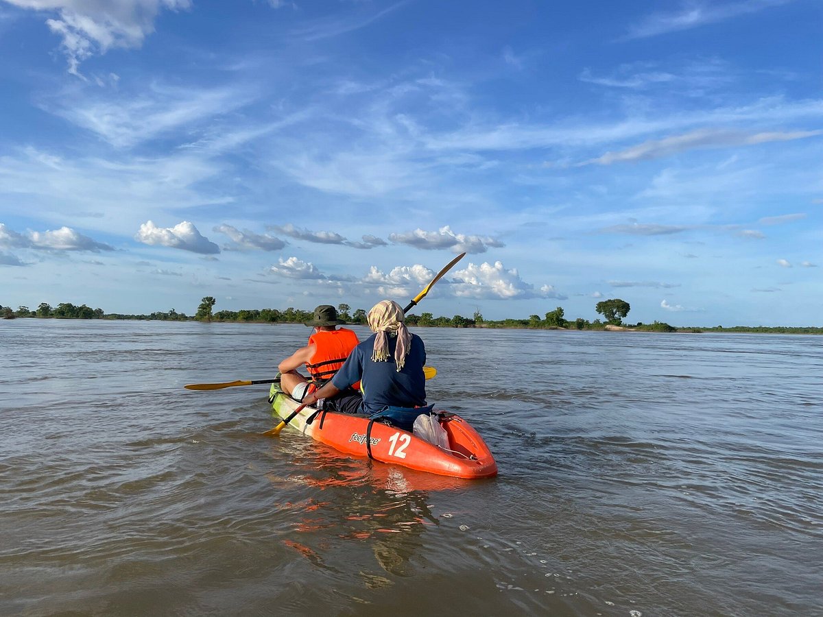 dolphin tours kratie