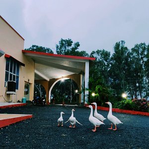 main entrance of the property