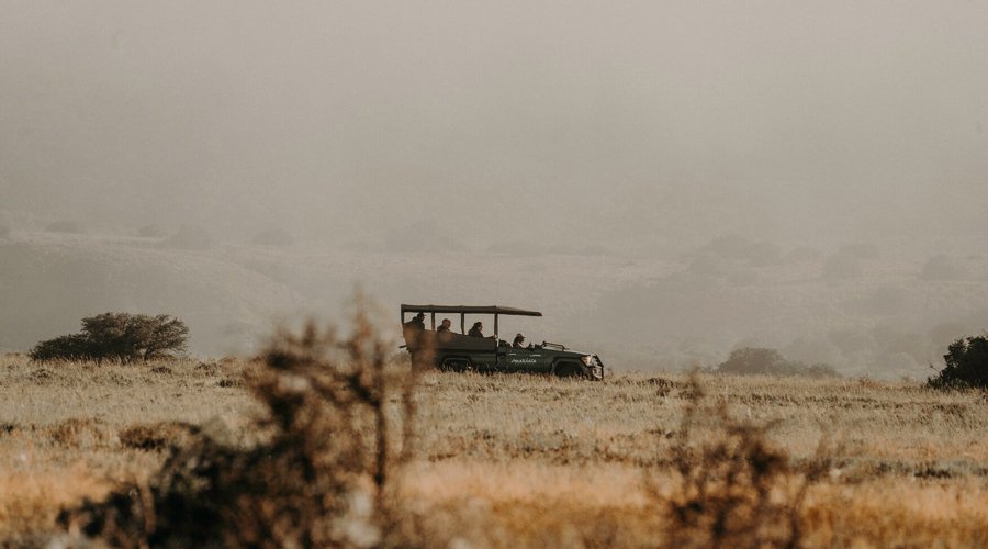 Big 5 Game Drives 