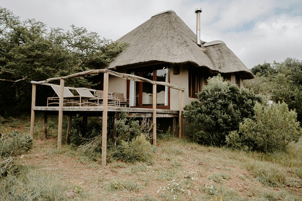 BUKELA GAME LODGE - AMAKHALA GAME RESERVE (Заповедник Амакала) - отзывы,  фото и сравнение цен - Tripadvisor