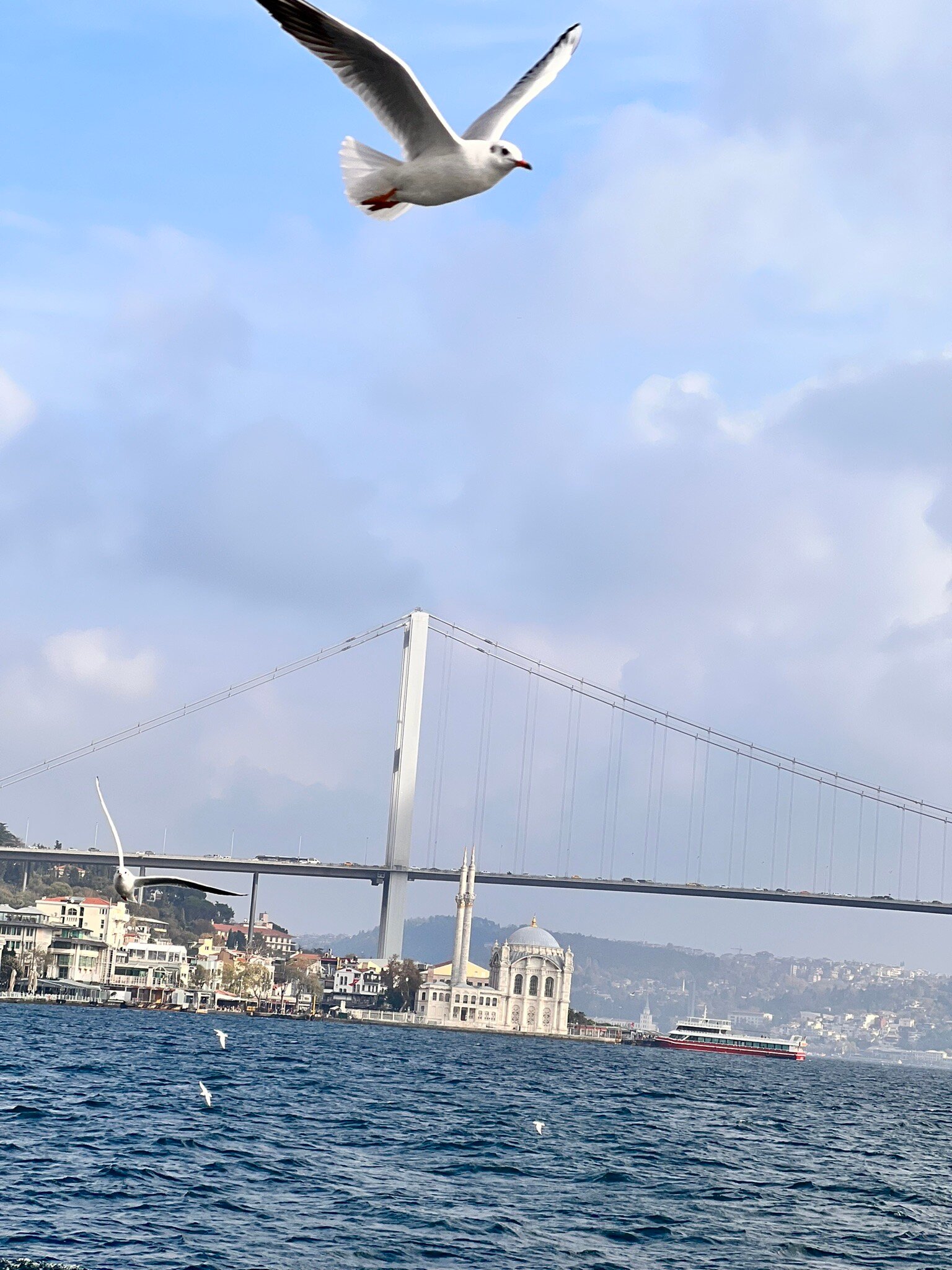 Bosphorus Cruise (Istanbul): All You Need To Know BEFORE You Go