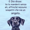 Asr_Barone79