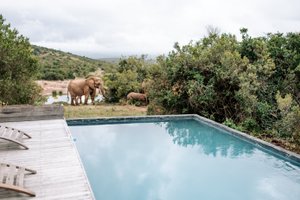 Pool & Beach