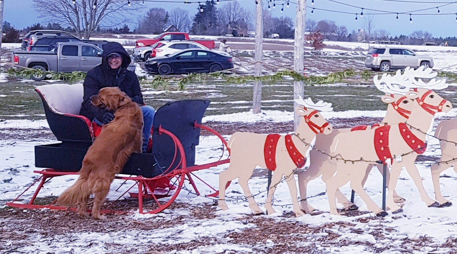 Niemi deals family farm