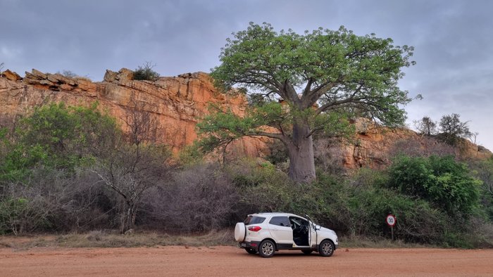 AWELANI LODGE - Bewertungen, Fotos & Preisvergleich - Masisi, Südafrika ...